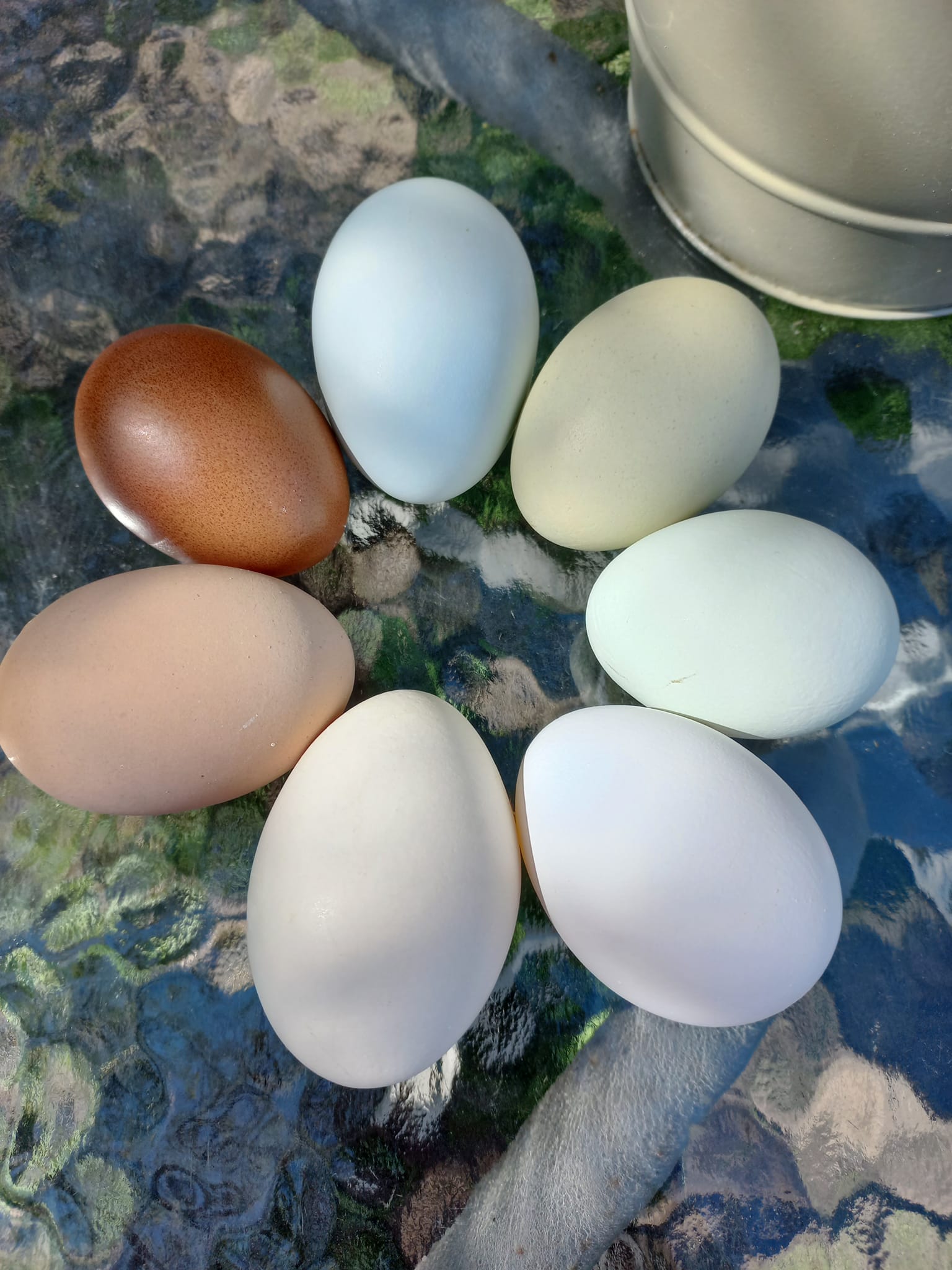 Jajka wiejskie 10 szt